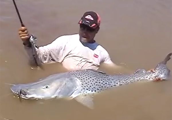 Mirá la emoción y locura de un pescador tras pescar un surubí