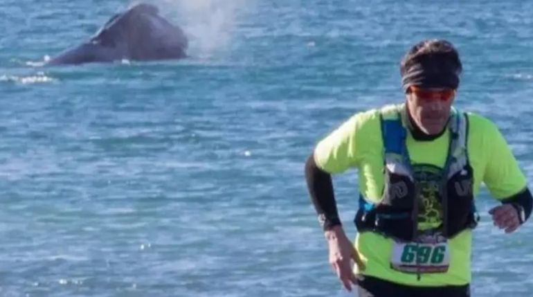 Running y ballenas en El Doradillo, Puerto Madryn, Chubut. Running y ballenas en El Doradillo, Puerto Madryn, Chubut.