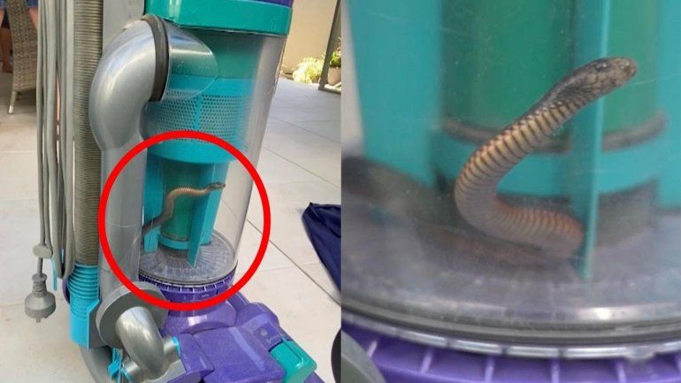 El video no tardó en generar reacciones en YouTube