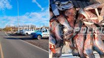 otro golpe a la pesca ilegal: los atraparon con las truchas arriba del vehiculo otro golpe a la pesca ilegal: los atraparon con las truchas arriba del vehiculo