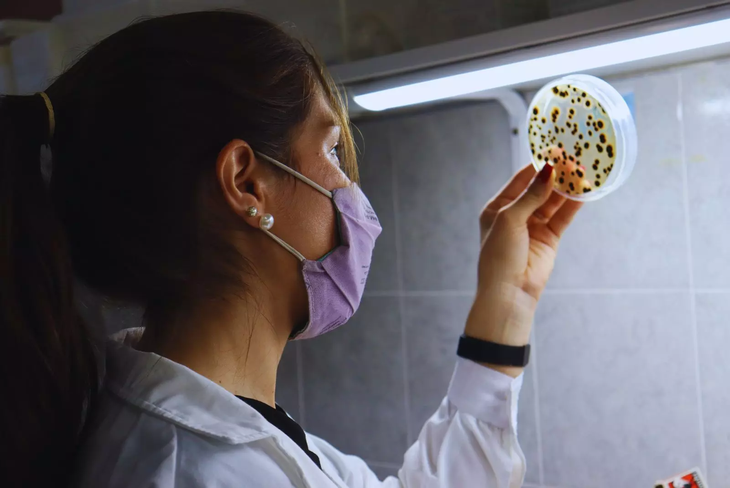 El cambio silencioso que podr&iacute;a transformar el cultivo de banano