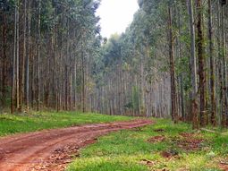 Faltan reglas claras en la Argentina para que lleguen inversiones de este tipo. Faltan reglas claras en la Argentina para que lleguen inversiones de este tipo.