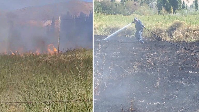 Controlan incendios forestales en Bajada del Agrio y Pino Hachado