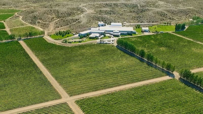 Bodega Familia Schroeder, destacada en la Patagonia. Foto: Familia Schroeder