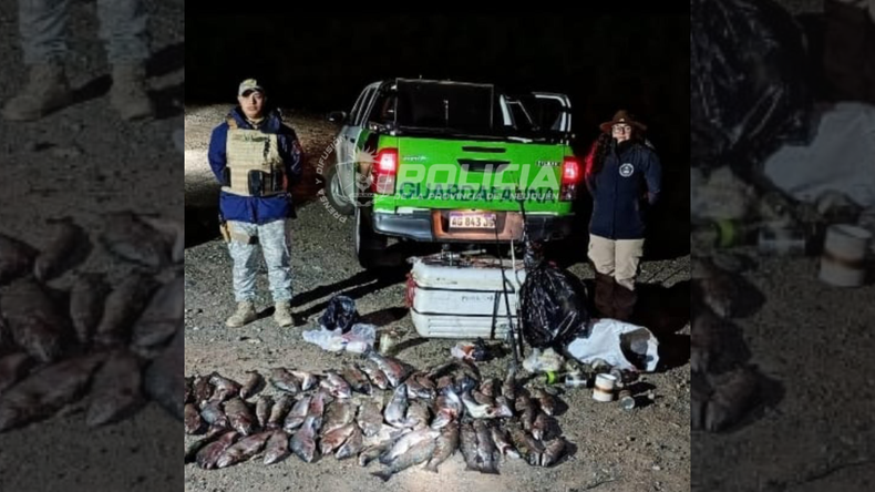 Amplio operativo en zona cordillerana: secuestraron 105 truchas y se labraron infracciones | LM Neuquen Amplio operativo en zona cordillerana: secuestraron 105 truchas y se labraron infracciones