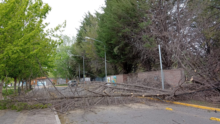 De cuánto fue la ráfaga más fuerte en Neuquén capital