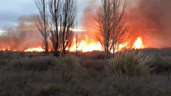 incendio en plottier: hay cuatro hectareas afectadas y cinco dotaciones trabajan en el lugar 