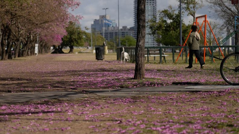 El clima para este jueves 26 de enero. | LM Neuquen El clima para este jueves 26 de enero.