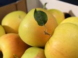 Sudáfrica comienza a producir la manzana japonesa Kimito