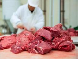 El consumo de carne sin piso. En la era Milei, continuó bajando hasta tocar mínimos de 30 años. El consumo de carne sin piso. En la era Milei, continuó bajando hasta tocar mínimos de 30 años.