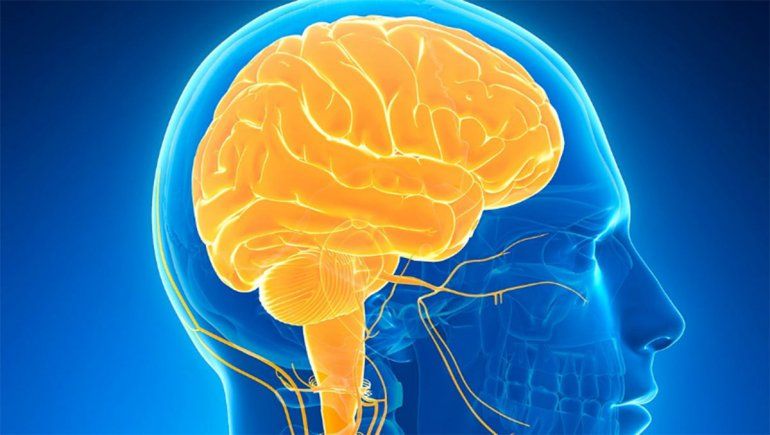 El Covid-19 daña las funciones cognitivas de algunos pacientes que lo superaron.