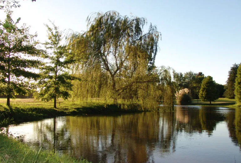 Highland Park tiene cancha de golf y todos los lujos. Araceli González vive allí.