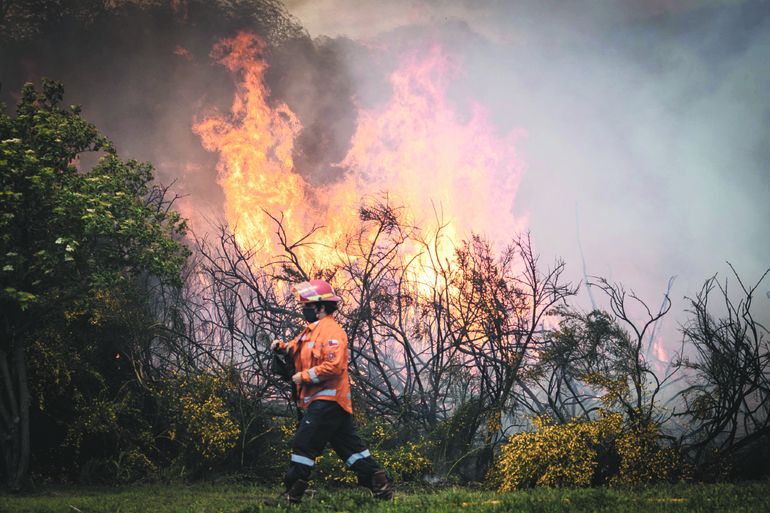 Los incendios forestales son muy comunes en tiempos de veranos con fuerte sequía.