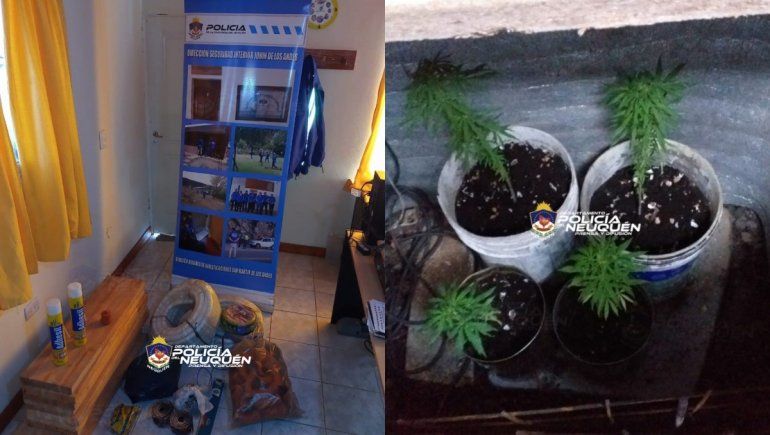 Robaron en una obra y quedaron escrachados en las filmaciones