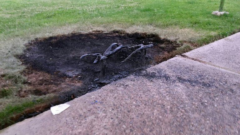 Vandalismo en el Alto: incendiaron un banco de una plaza