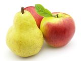 La cosecha de manzana creció en esta temporada 13%.