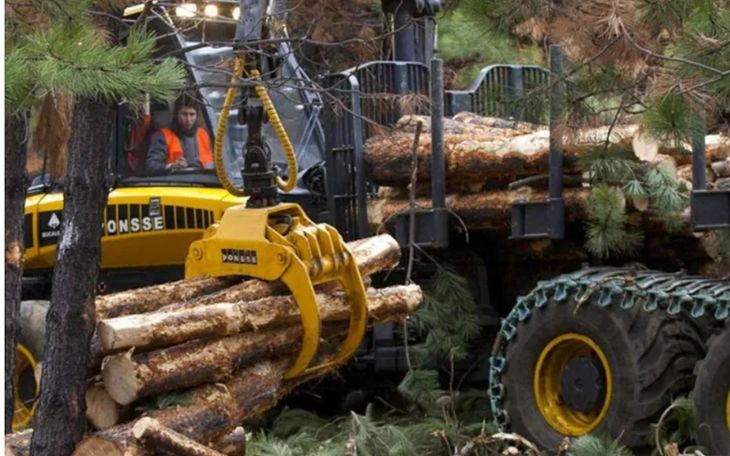 La planta producirá 6 mil toneladas de pellets al año. La planta producirá 6 mil toneladas de pellets al año.