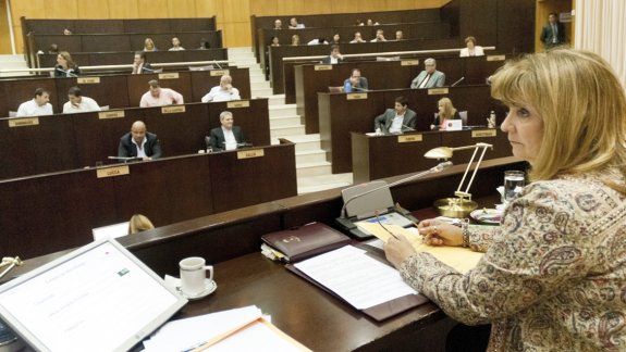 Con Muñiz Saavedra como presidenta, la Cámara votó a favor de la ley.
