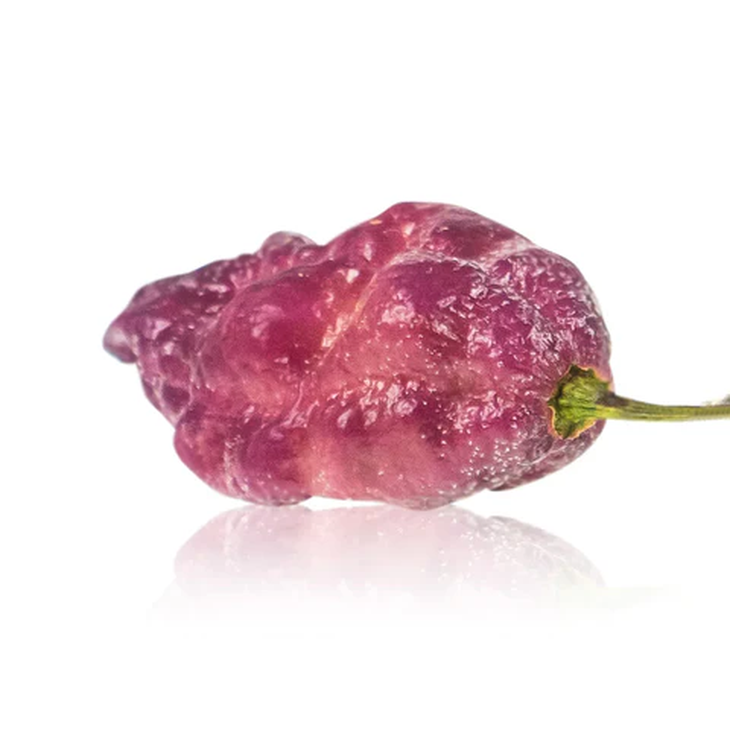 El pimiento Lengua de Escorpión Negro es una variedad ultra rara de pimiento morado . Foto: pepperjoe.com El pimiento Lengua de Escorpión Negro es una variedad ultra rara de pimiento morado . Foto: pepperjoe.com