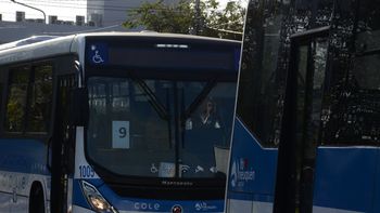 Nueva empresa de colectivos en neuquen (5).JPG