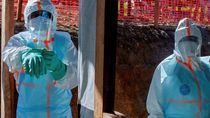 El brote de ébola en África central mantiene en alerta a organismos internacionales y sistemas de vigilancia sanitaria. El brote de ébola en África central mantiene en alerta a organismos internacionales y sistemas de vigilancia sanitaria.