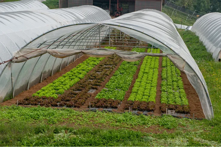 La mesa se reúne en Villa La Angostura. La mesa se reúne en Villa La Angostura.