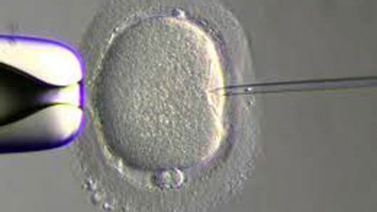 La pareja se hizo una fecundación in vitro en otro país. Ella se convirtió en la madre más grande de Australia.