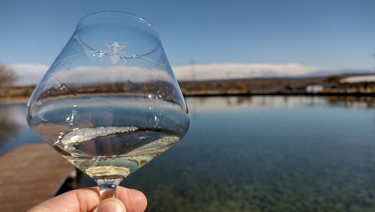 Sauvignon time: la canícula es el momento perfecto para beberlos