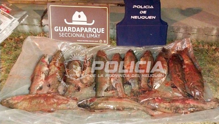 Secuestraron truchas y ganchos de pesca durante un operativo en la Ruta 40