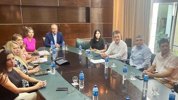 ocho diputados del mpn repudian las amenazas de javier milei ocho diputados del mpn repudian las amenazas de javier milei