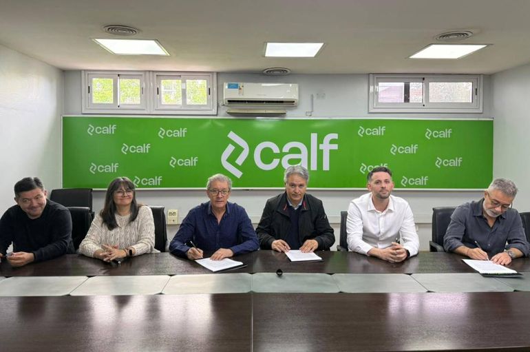 Con Calfpay se podrá pagar el estacionamiento medido en Neuquén