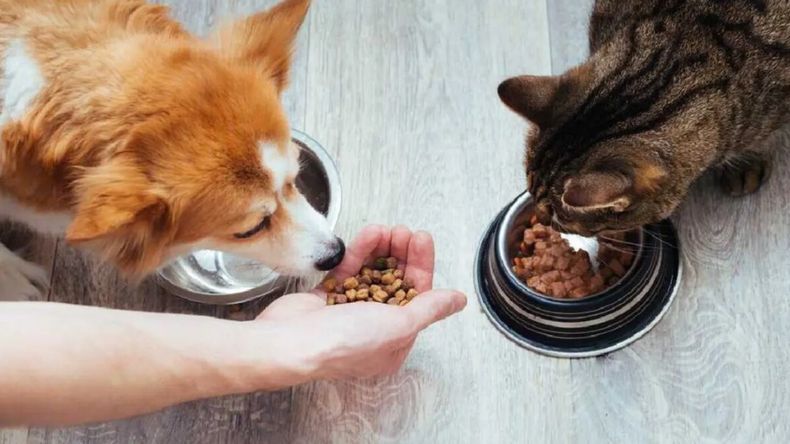 El aumento del gasto no se explica solo por la inflación. También responde a un cambio cultural. | LM Neuquen El aumento del gasto no se explica solo por la inflación. También responde a un cambio cultural.