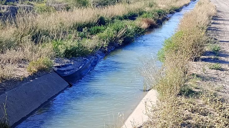 Alerta Climática: Caudales del río Negro bajaron 43% en 20 años; se proyecta más descenso. Alerta Climática: Caudales del río Negro bajaron 43% en 20 años; se proyecta más descenso.
