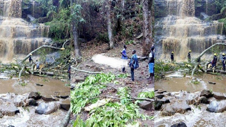 Al menos 18 muertos al caer árbol en Ghana mientras nadaban en un río