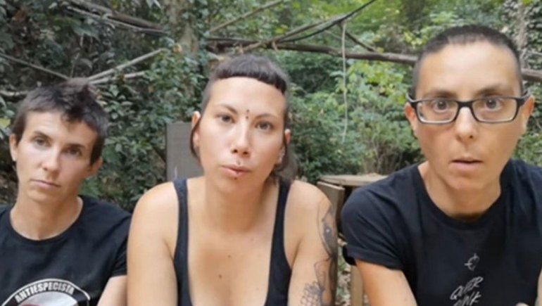 El colmo vegano: separaron a los gallos para que no violen a las gallinas