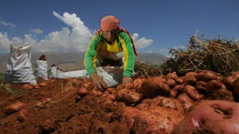 El experimento, que duró un año, lo desarrollaron en Perú.