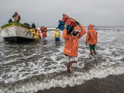 Desembarco de pescado en la caleta Santa Rosa en Lambayeque, ubicada a 789 km al norte de Lima (Perú). Foto: El País Desembarco de pescado en la caleta Santa Rosa en Lambayeque, ubicada a 789 km al norte de Lima (Perú). Foto: El País