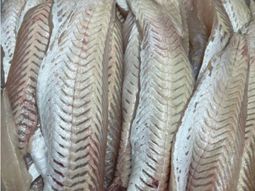 santa cruz potencia su pesca con merluza fresca y sello de calidad santa cruz potencia su pesca con merluza fresca y sello de calidad