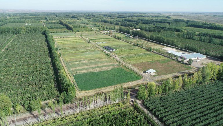 Vaca Muerta pone contra las cuerdas al viejo chacarero de Neuquén