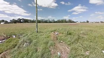 macabro hallazgo: saco a pasear a su perro y descubrio el cuerpo de un bebe macabro hallazgo: saco a pasear a su perro y descubrio el cuerpo de un bebe