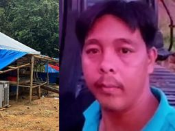 Elefantes atacaron a trabajadores mientras dormían en Malasia y un hombre murió por las heridas. Imagen: Harian Metro Elefantes atacaron a trabajadores mientras dormían en Malasia y un hombre murió por las heridas. Imagen: Harian Metro