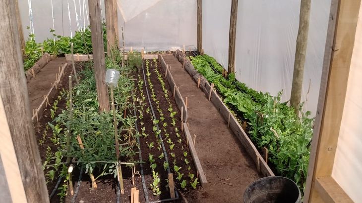 Abundancia y color, características de las huertas de "Marciano". Foto: gentileza. Abundancia y color, características de las huertas de "Marciano". Foto: gentileza.