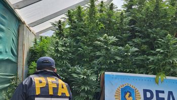 desbarataron un kiosco narco en villa traful: secuestran mas de $ 50 millones en efectivo desbarataron un kiosco narco en villa traful: secuestran mas de $ 50 millones en efectivo