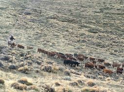 “Las montañas están negras, porque no hubo nieve en la cordillera”, dice Cecilia de Larminat. Foto: Fabricio González. “Las montañas están negras, porque no hubo nieve en la cordillera”, dice Cecilia de Larminat. Foto: Fabricio González.