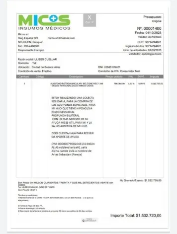 El presupuesto de los audífonos. El presupuesto de los audífonos.