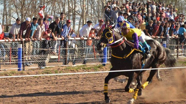 Furor por el desafío del pingo invicto del Valle  ante campeones del centro y el norte del país