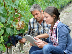 El informe de ProWein destaca que la digitalización está transformando el sector del vino. El informe de ProWein destaca que la digitalización está transformando el sector del vino.