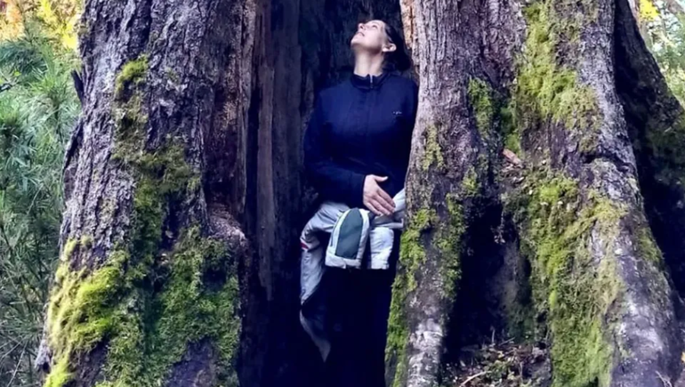 Guardines de la Tierra