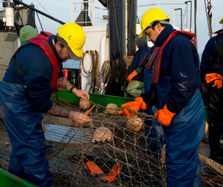 La merluza hubbsi es explotada por más de 150 barcos que van al fresco y congelado. Foto: gentileza La merluza hubbsi es explotada por más de 150 barcos que van al fresco y congelado. Foto: gentileza