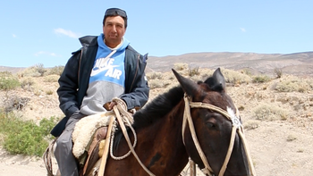 El criancero que transita la Ruta 40 rumbo a Chos Malal